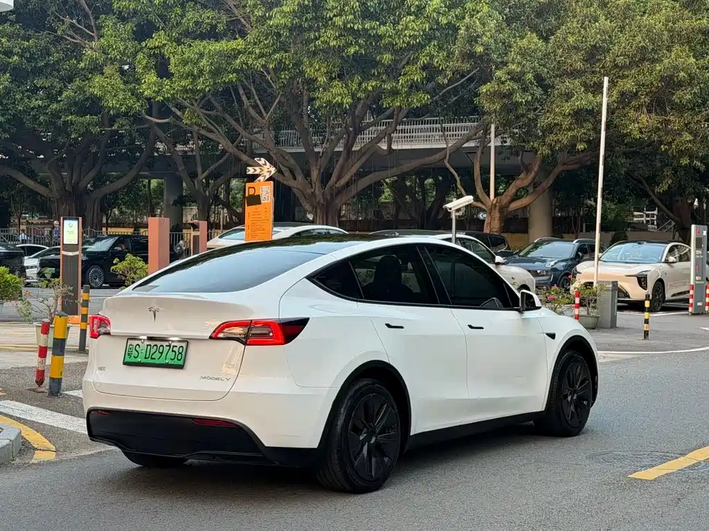 Tesla Model Y — фото 11