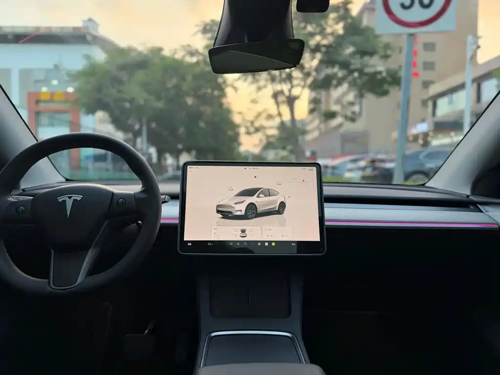 Tesla Model Y — фото 8