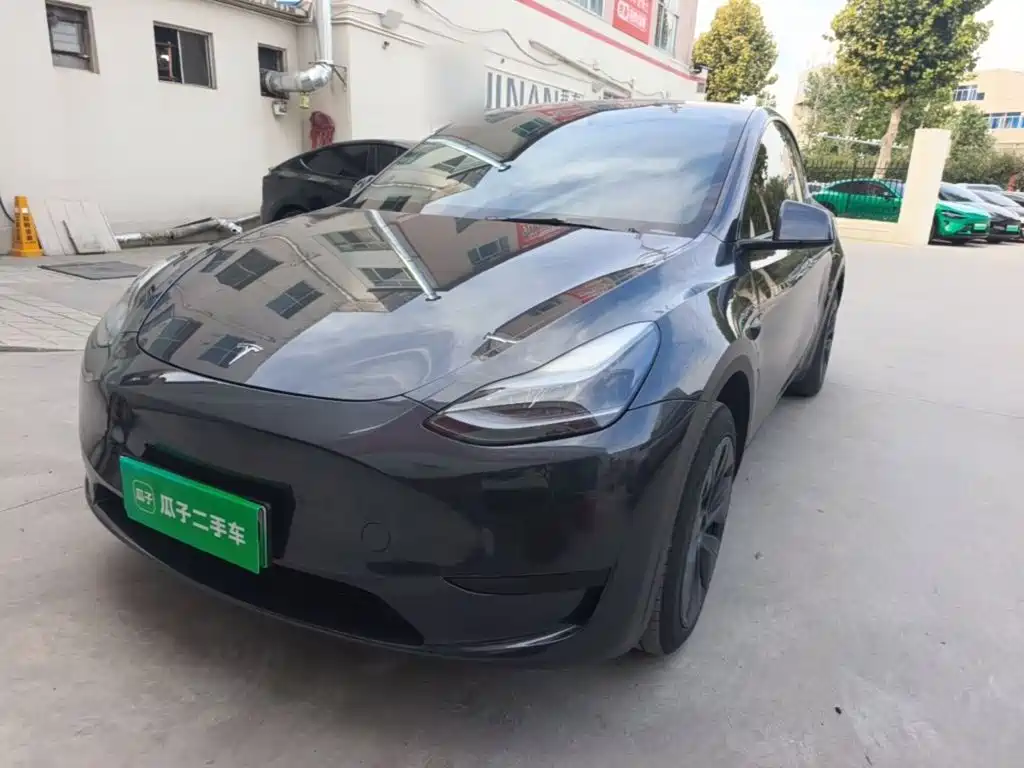 Tesla Model Y — фото 2