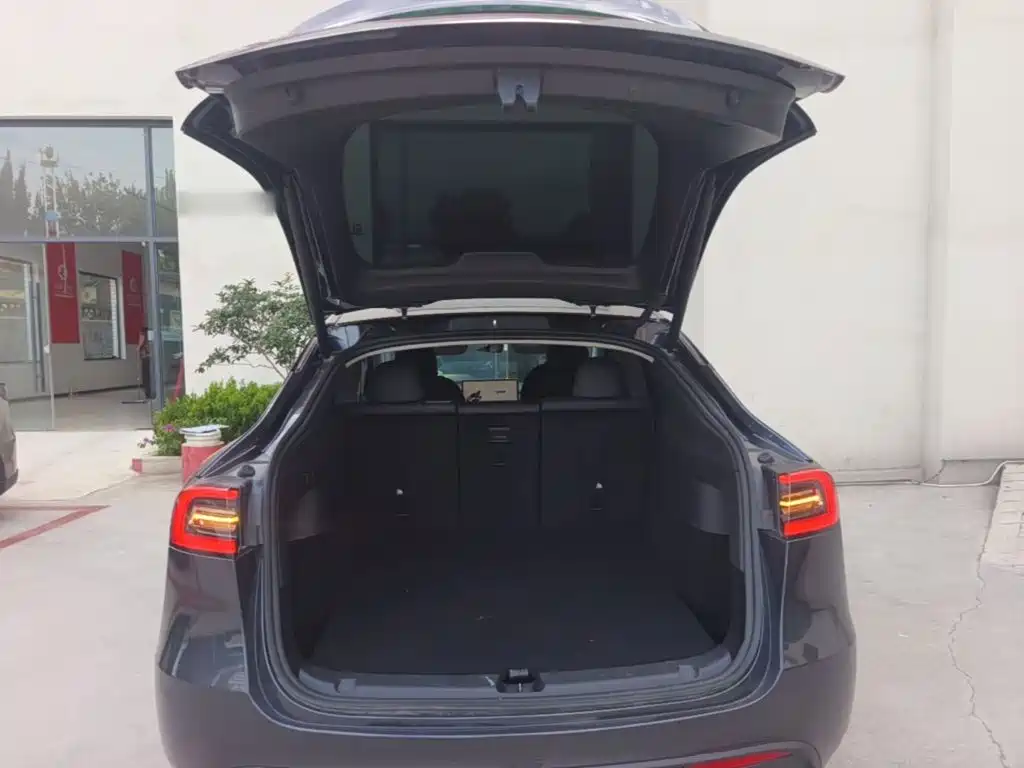 Tesla Model Y — фото 19