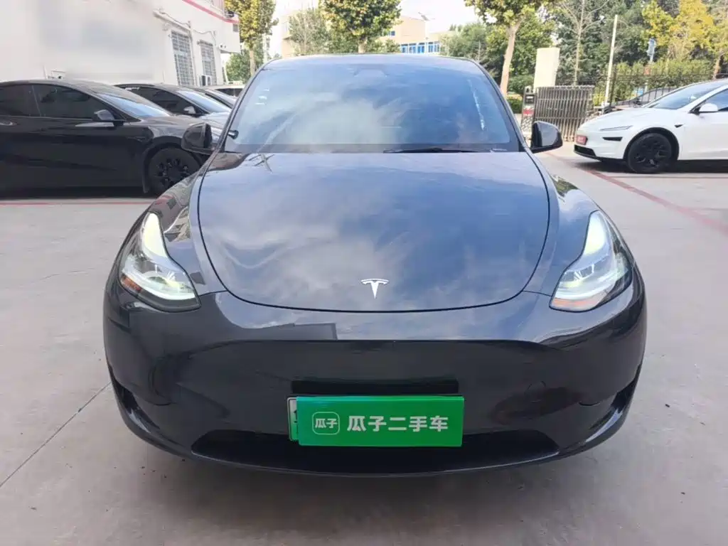 Tesla Model Y — фото 3