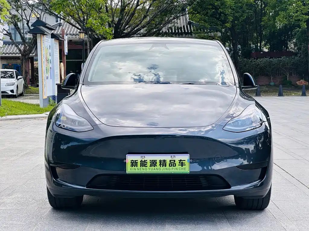 Tesla Model Y — фото 2