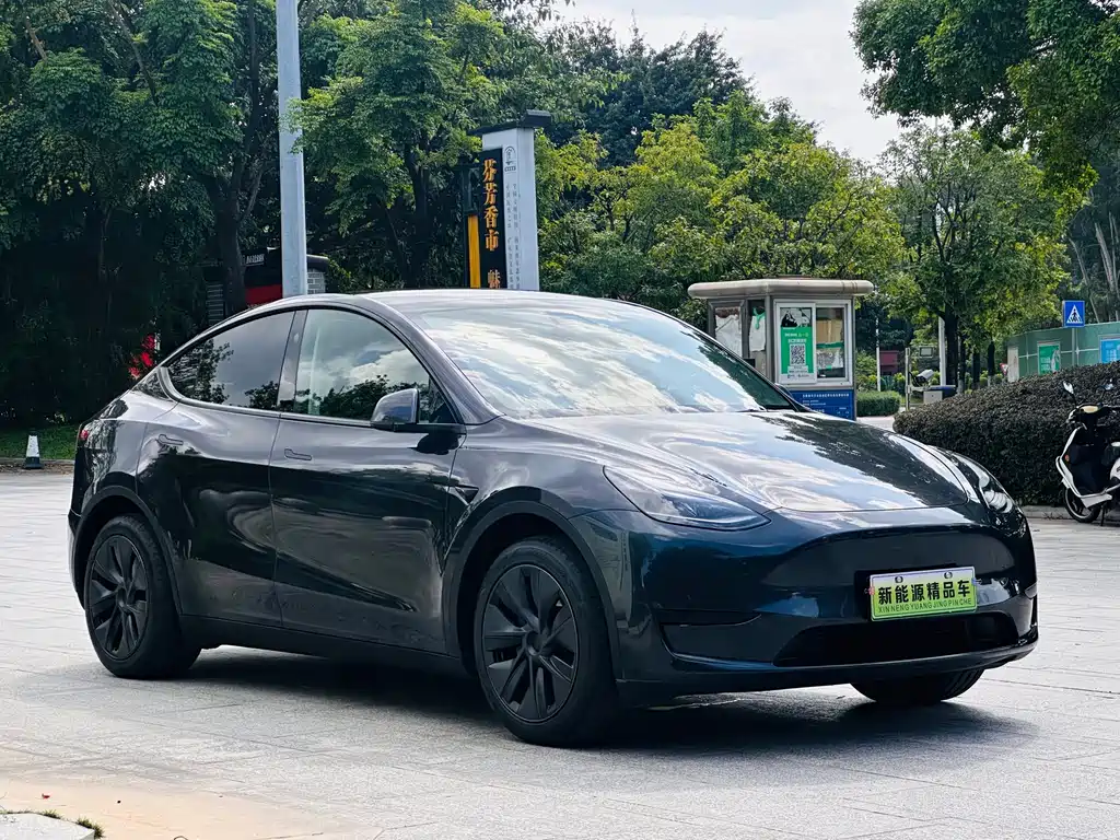 Tesla Model Y — фото 3