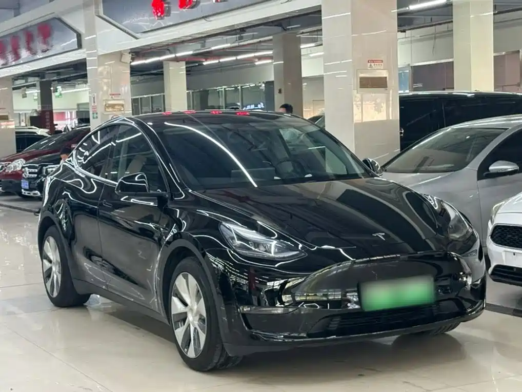 Tesla Model Y — фото 21