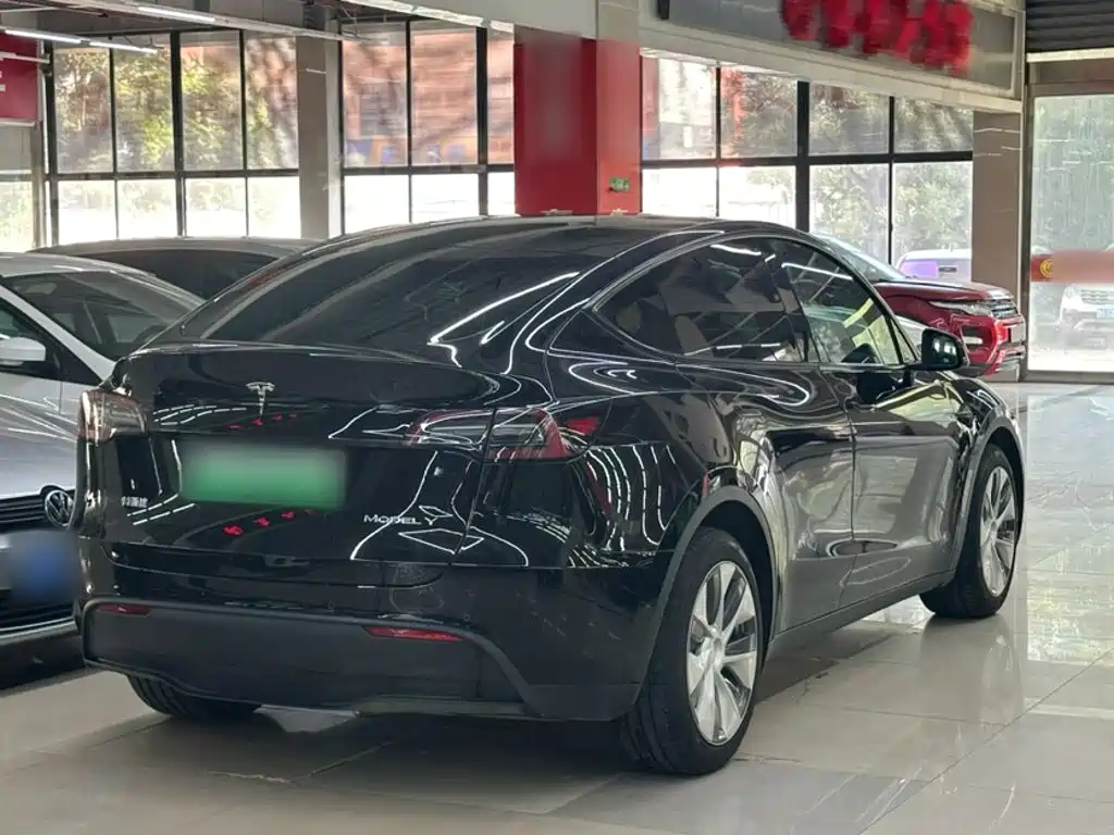 Tesla Model Y — фото 22