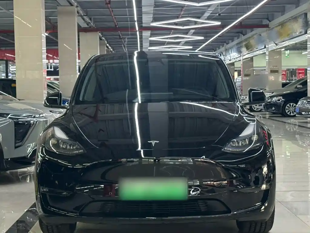 Tesla Model Y — фото 23