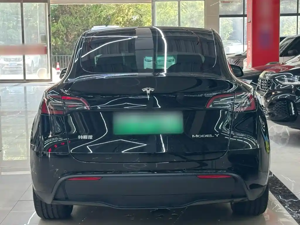 Tesla Model Y — фото 25