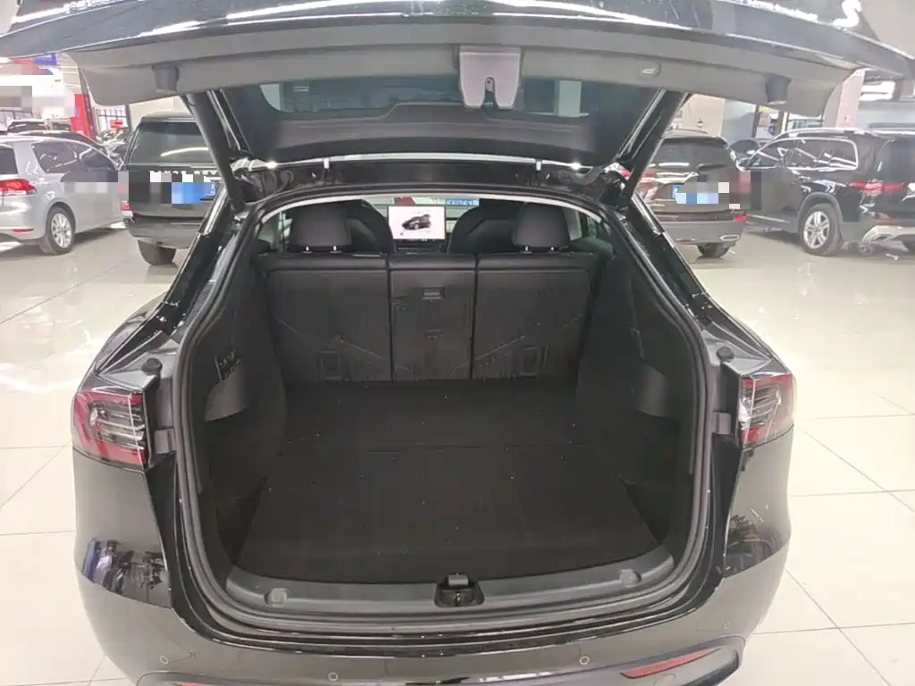 Tesla Model Y — фото 9