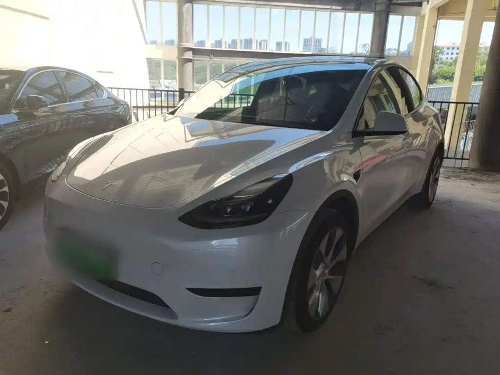 Tesla Model Y — фото 2
