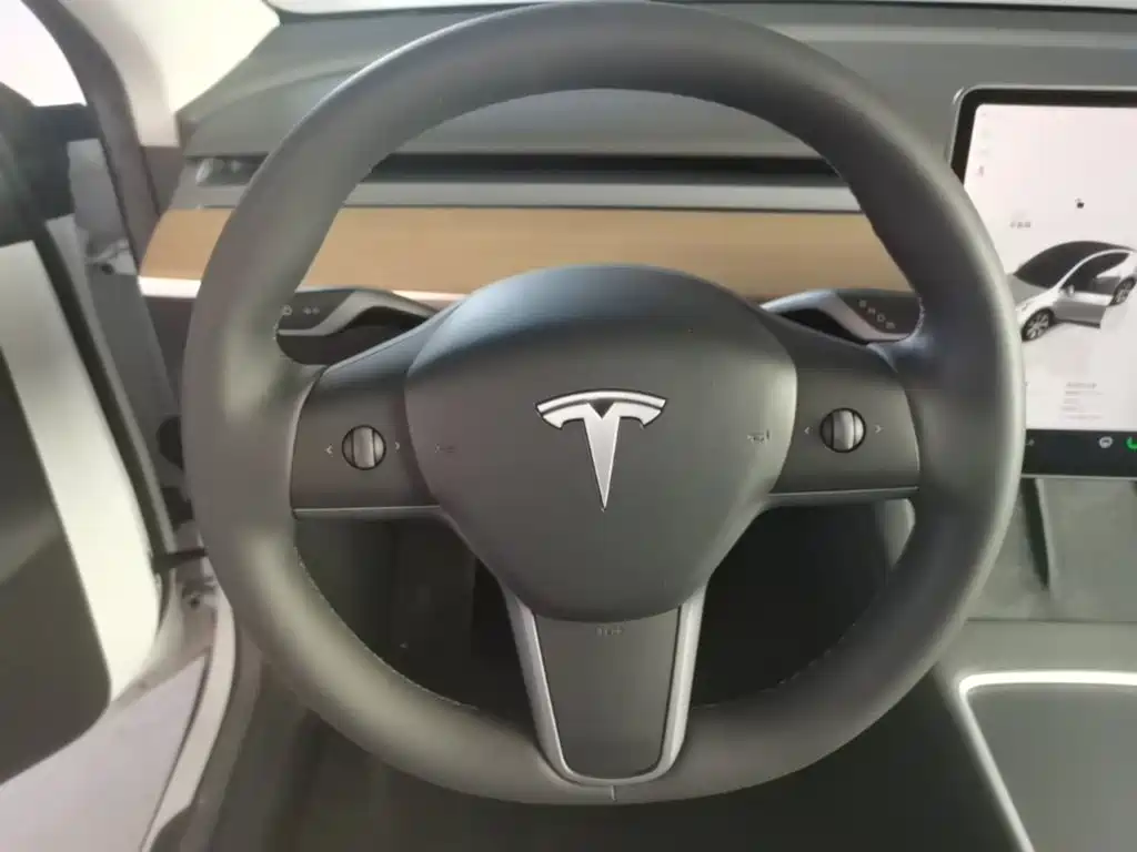 Tesla Model Y — фото 11
