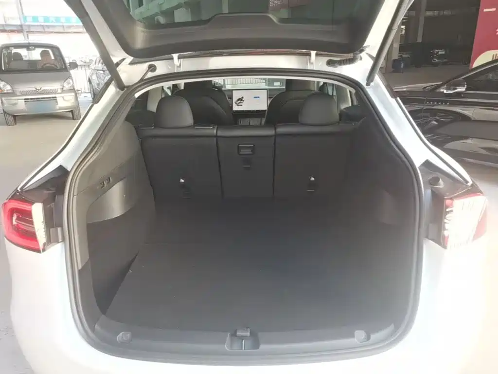 Tesla Model Y — фото 19