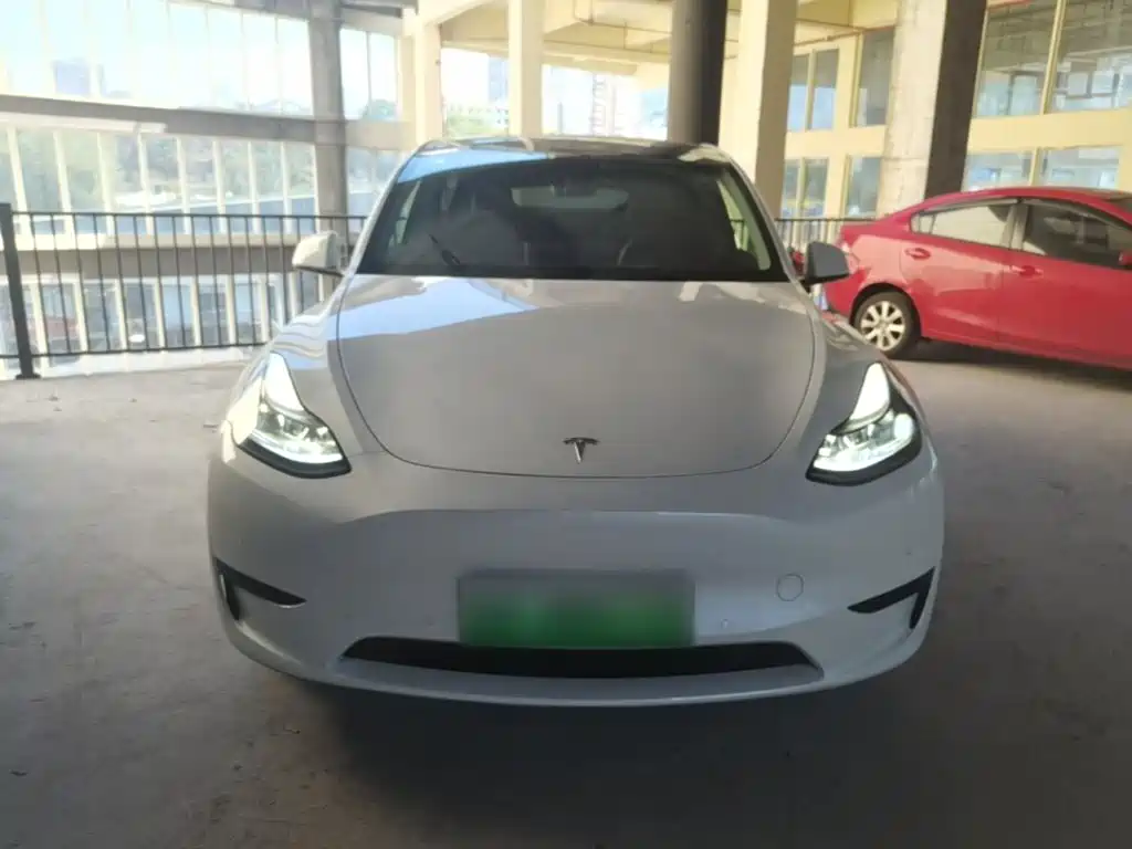 Tesla Model Y — фото 3