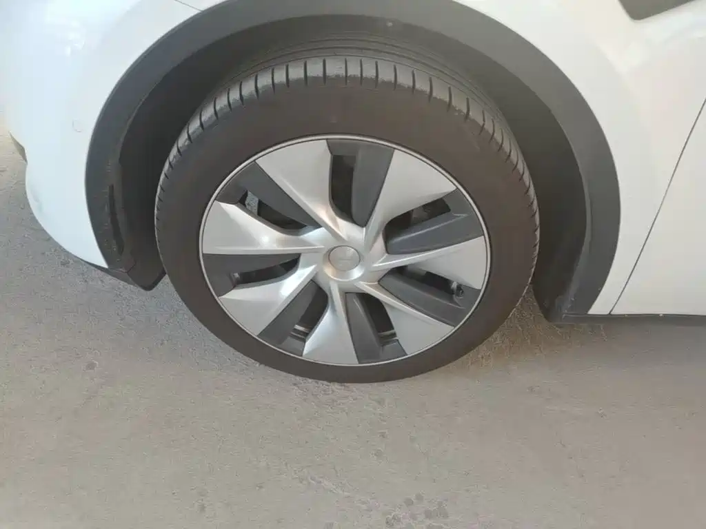 Tesla Model Y — фото 23