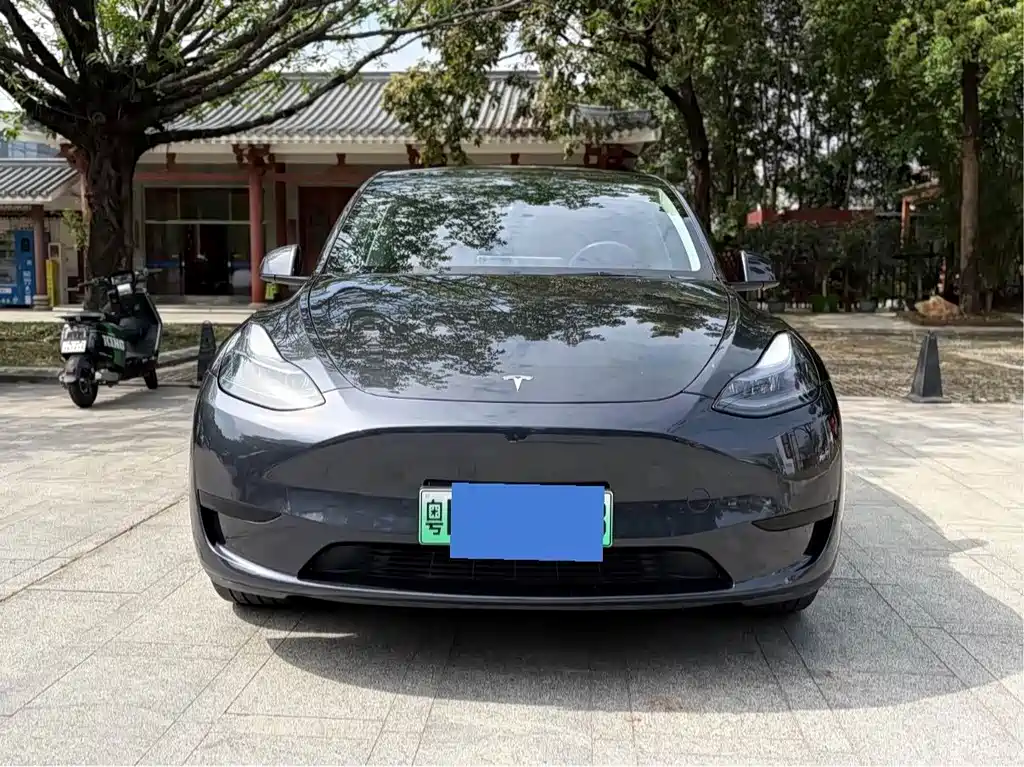 Tesla Model Y — фото 2