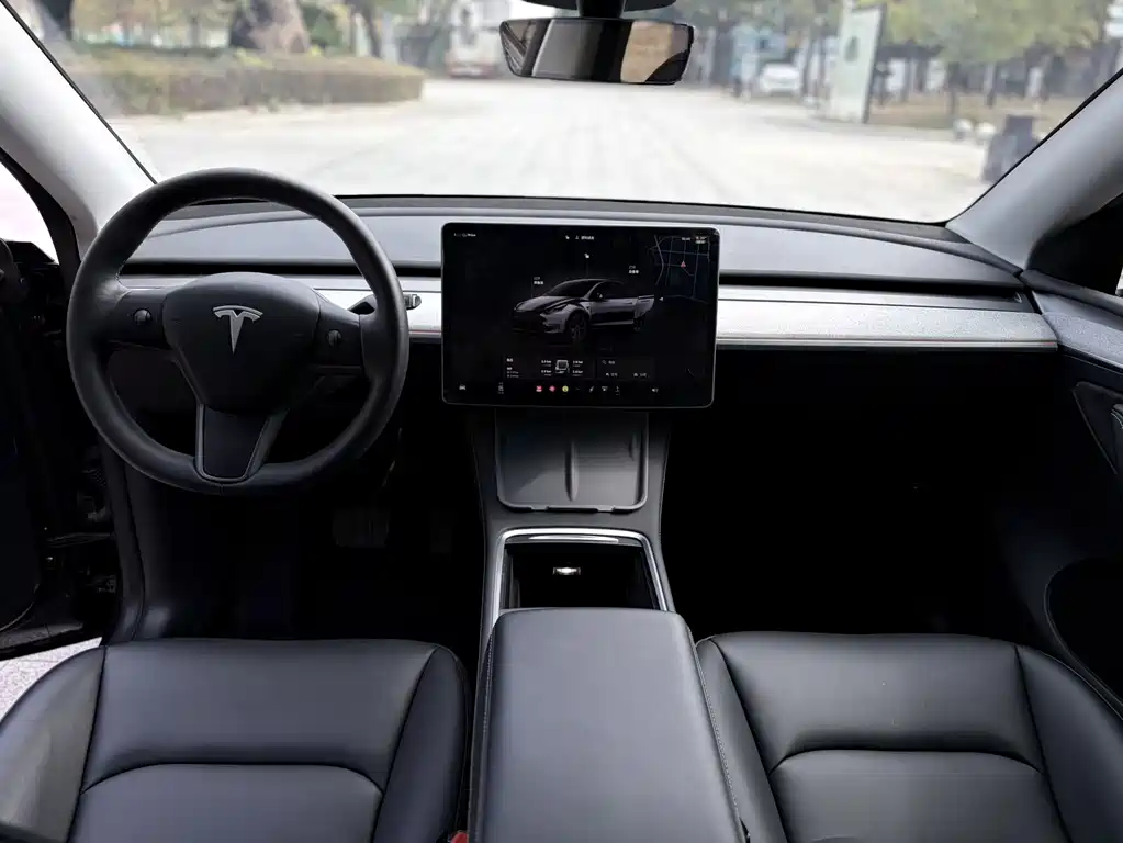 Tesla Model Y — фото 14