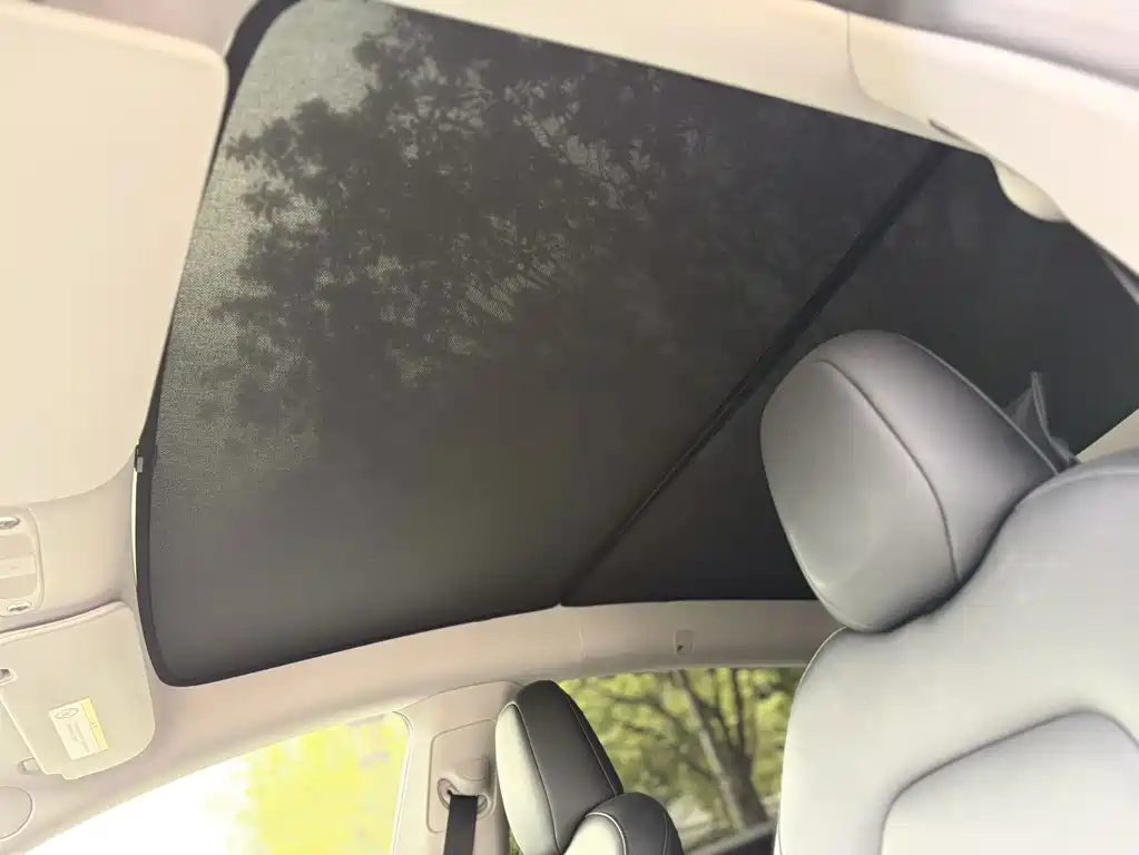 Tesla Model Y — фото 18
