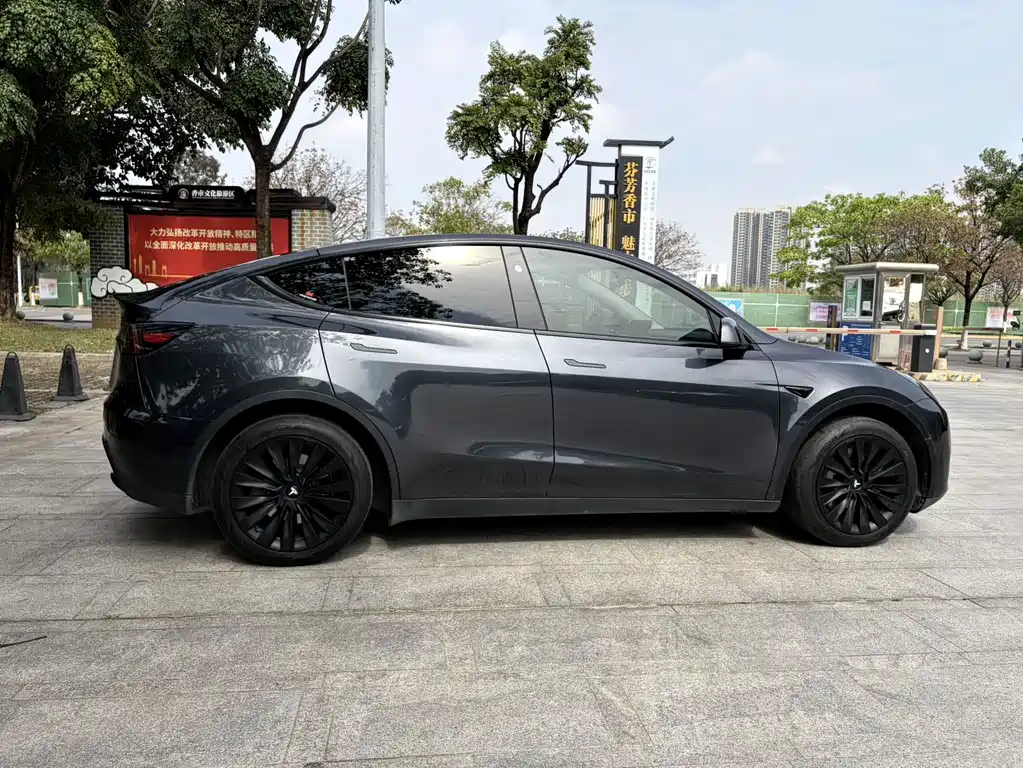 Tesla Model Y — фото 19