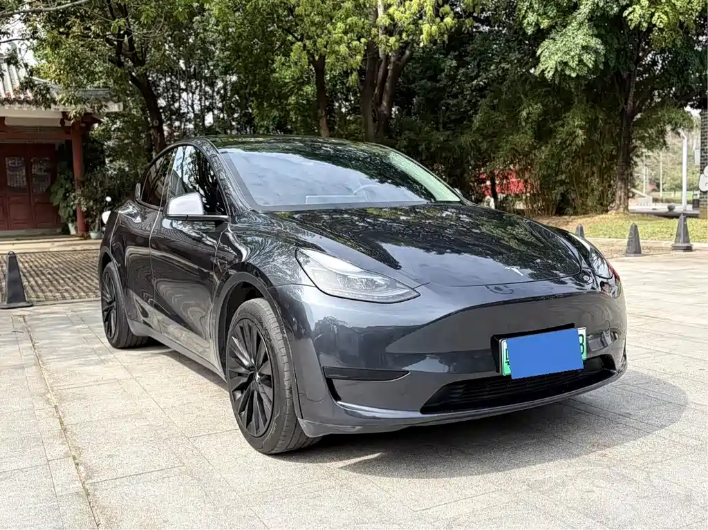 Tesla Model Y — фото 4