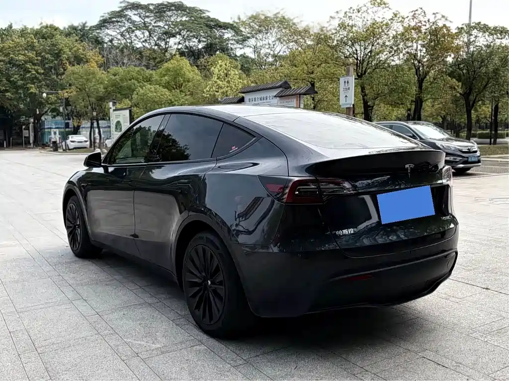 Tesla Model Y — фото 5