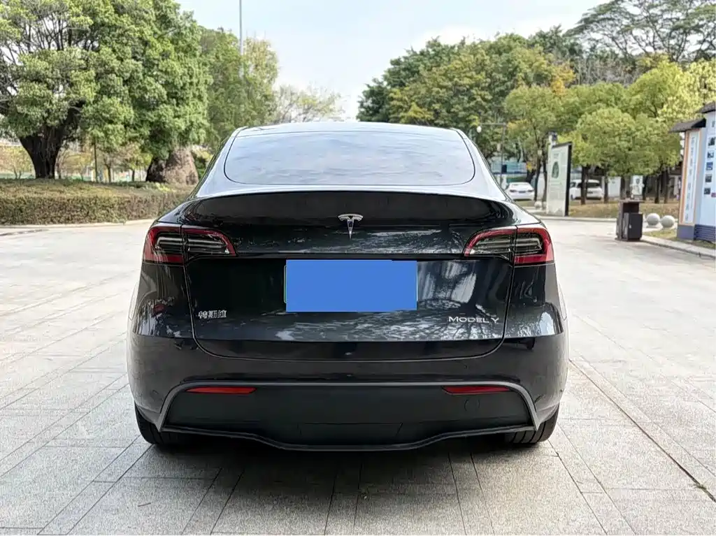 Tesla Model Y — фото 6