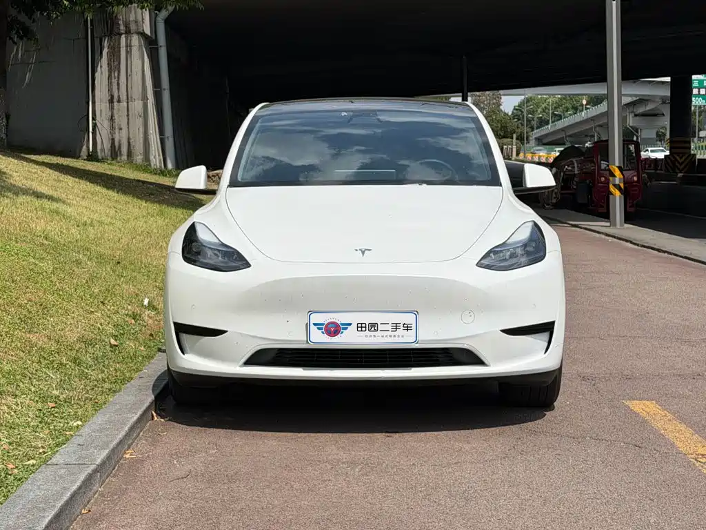 Tesla Model Y — фото 2