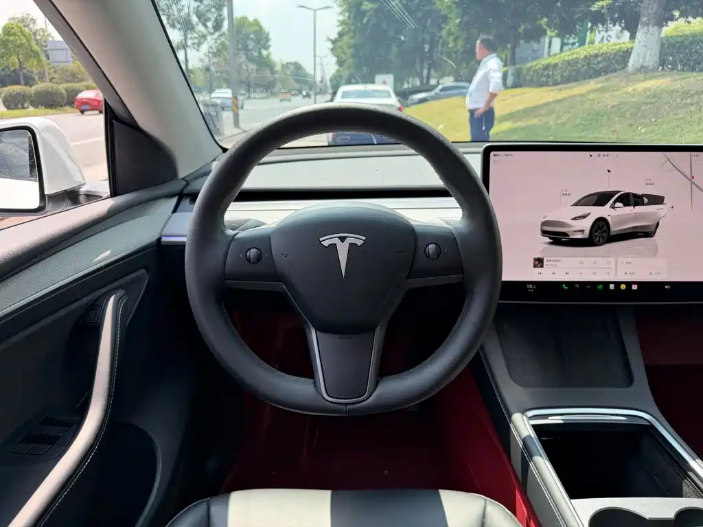 Tesla Model Y — фото 14