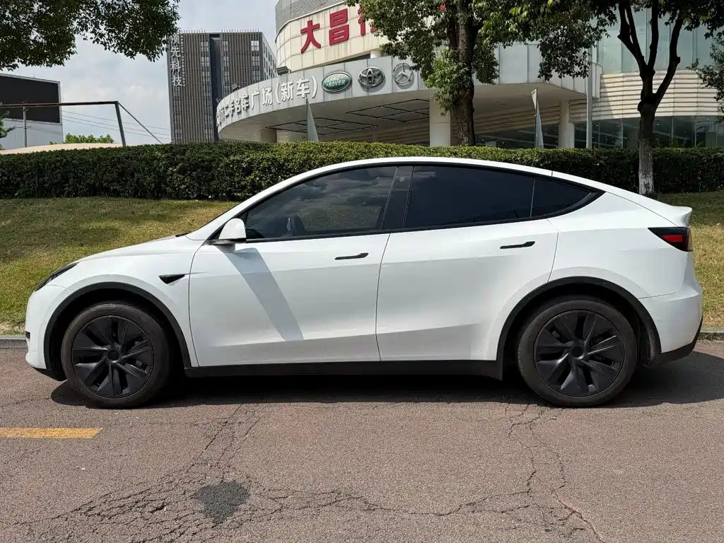 Tesla Model Y — фото 3