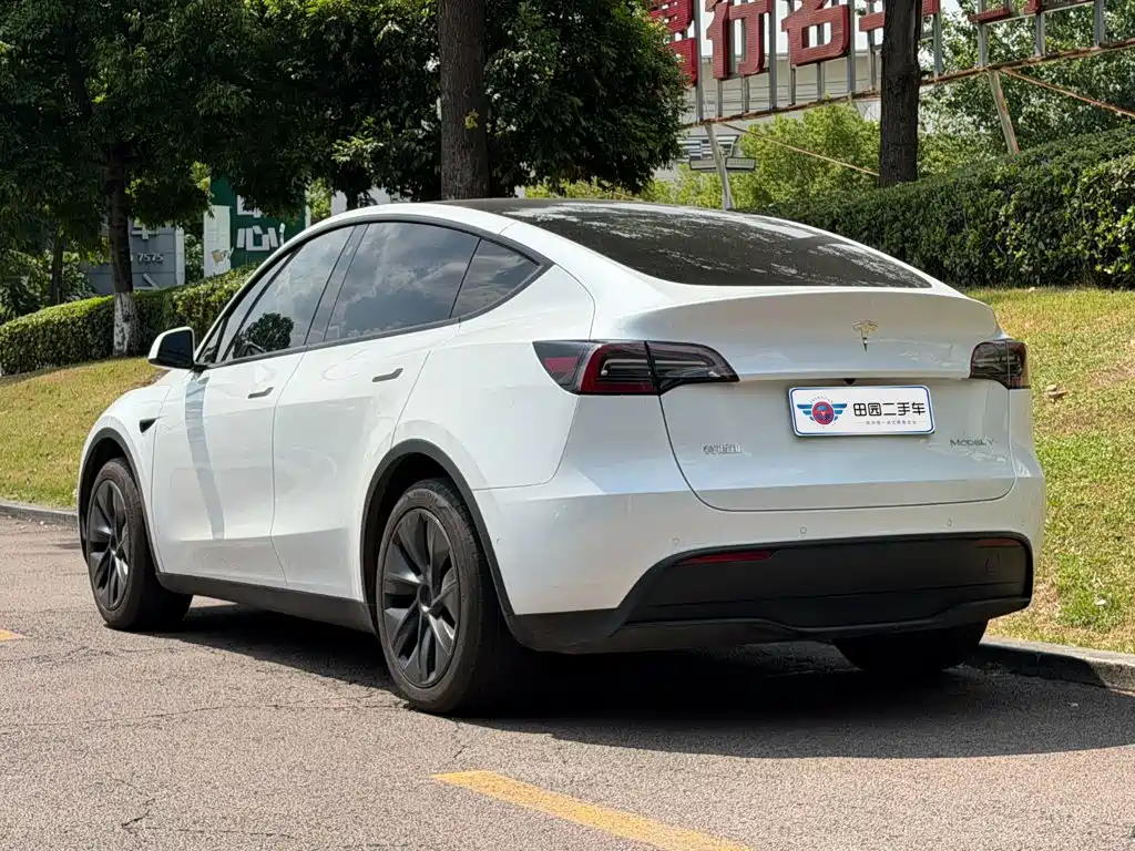 Tesla Model Y — фото 4