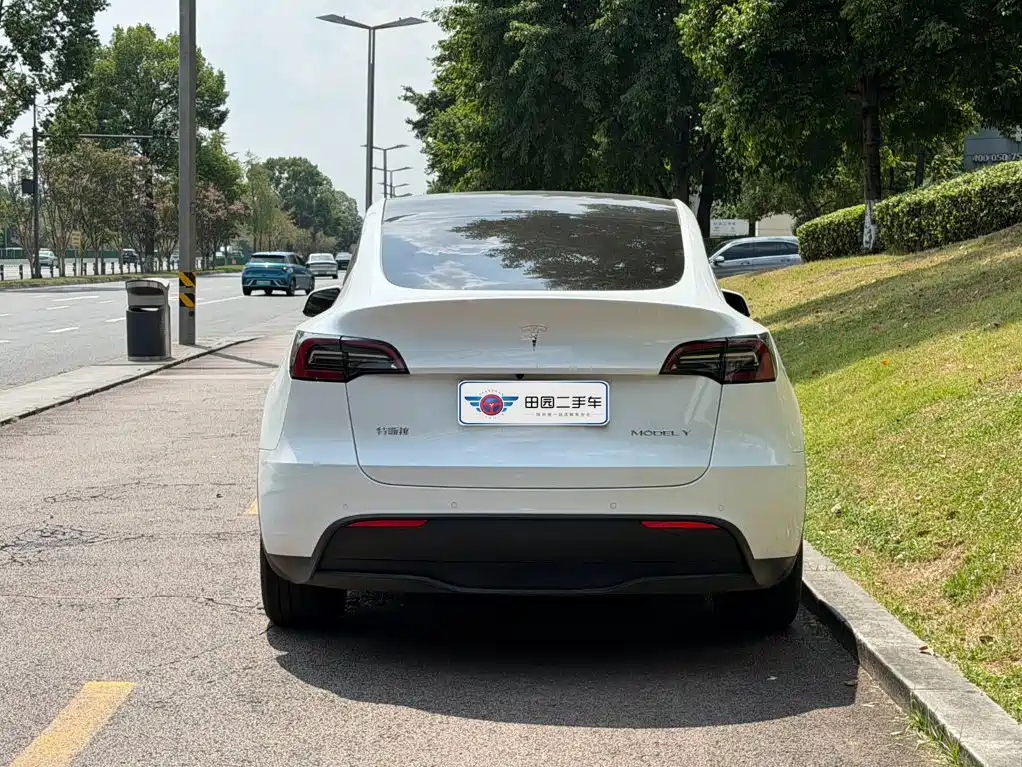 Tesla Model Y — фото 5