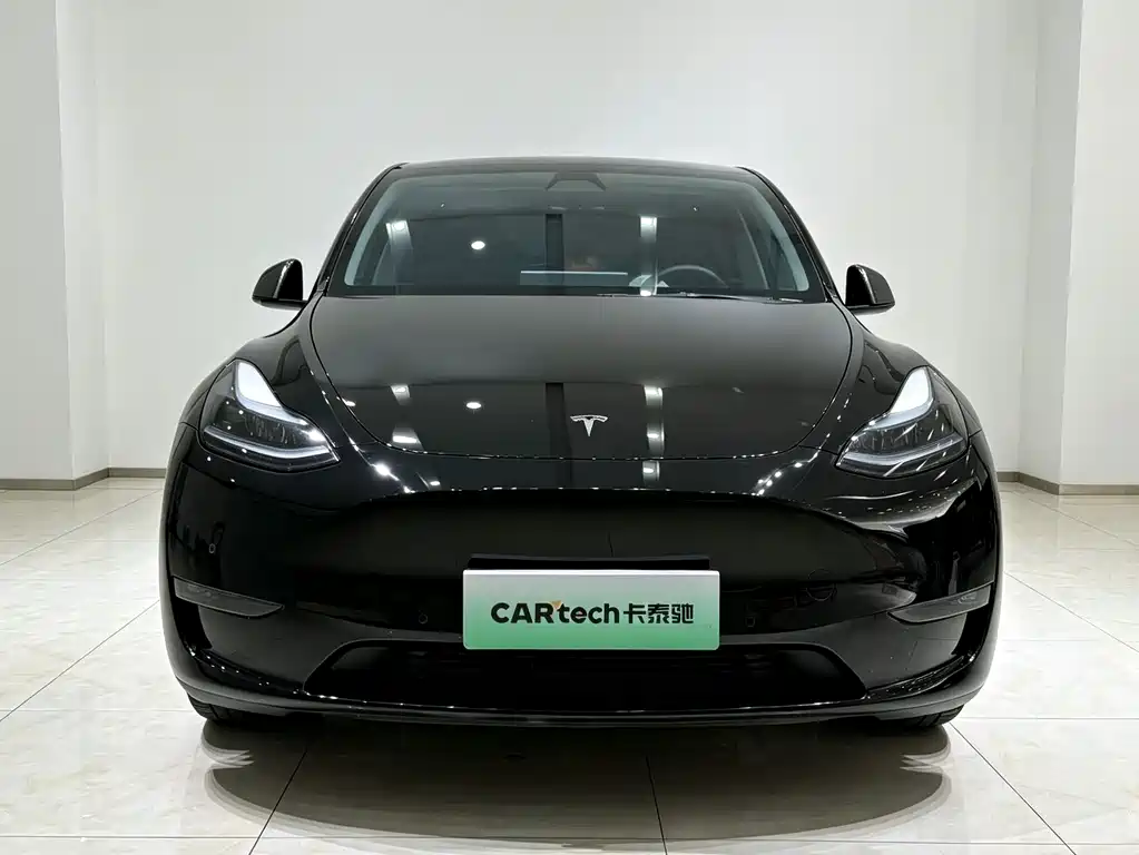 Tesla Model Y — фото 2