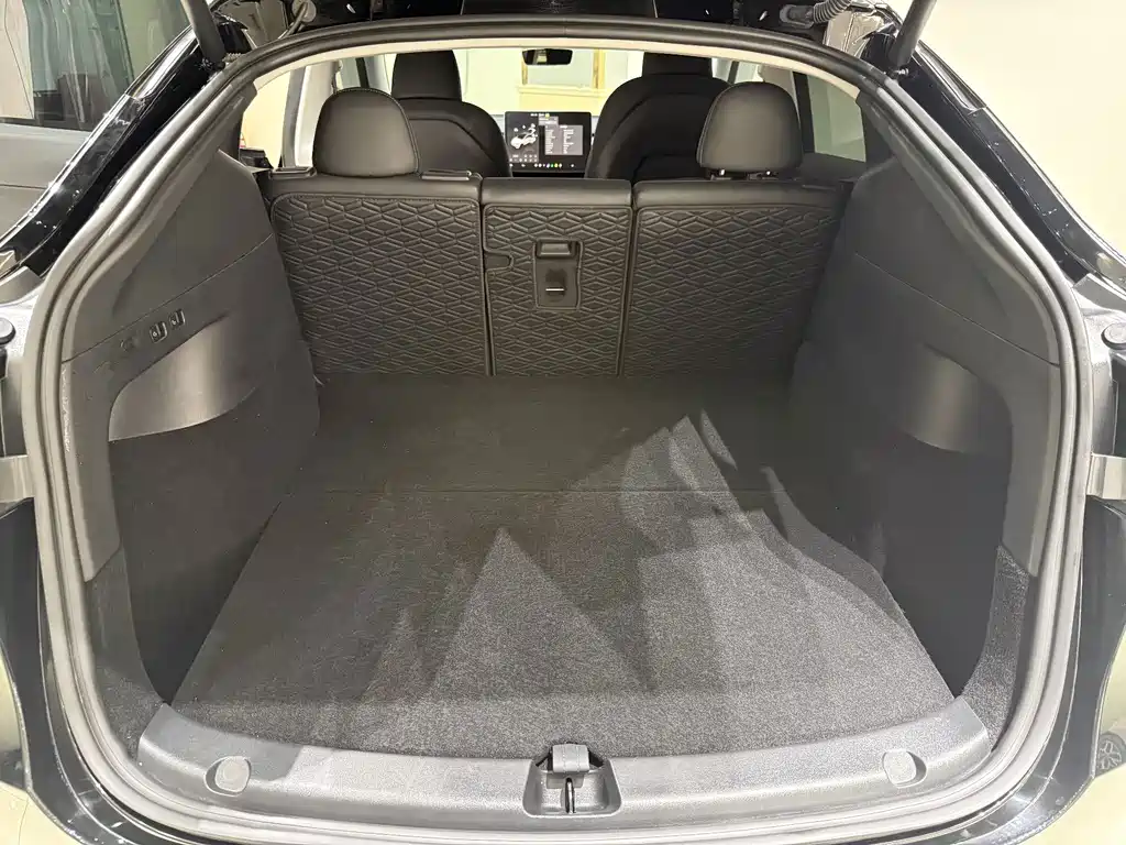 Tesla Model Y — фото 14