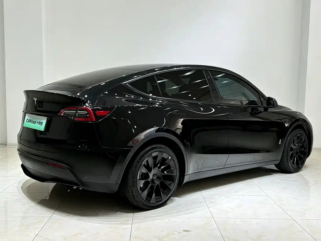 Tesla Model Y — фото 15