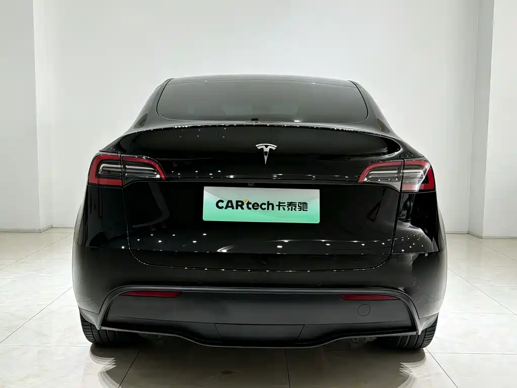 Tesla Model Y — фото 17