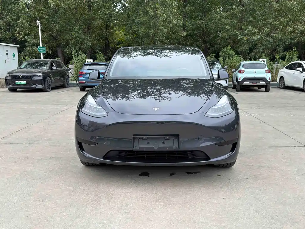 Tesla Model Y — фото 2