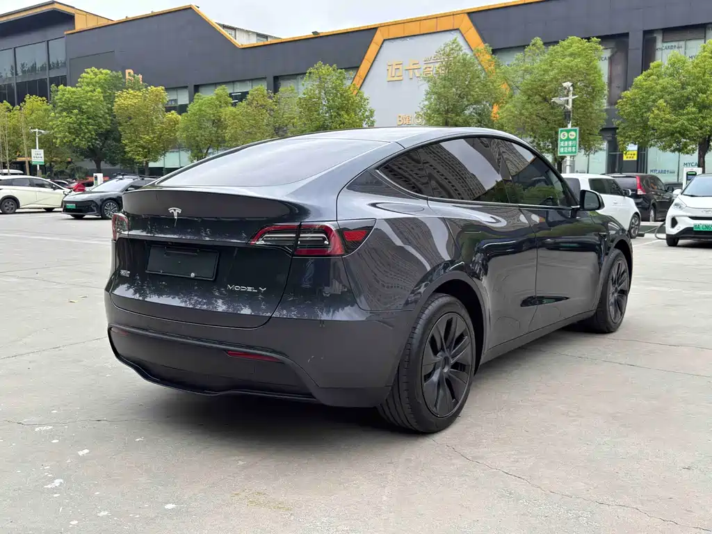 Tesla Model Y — фото 13