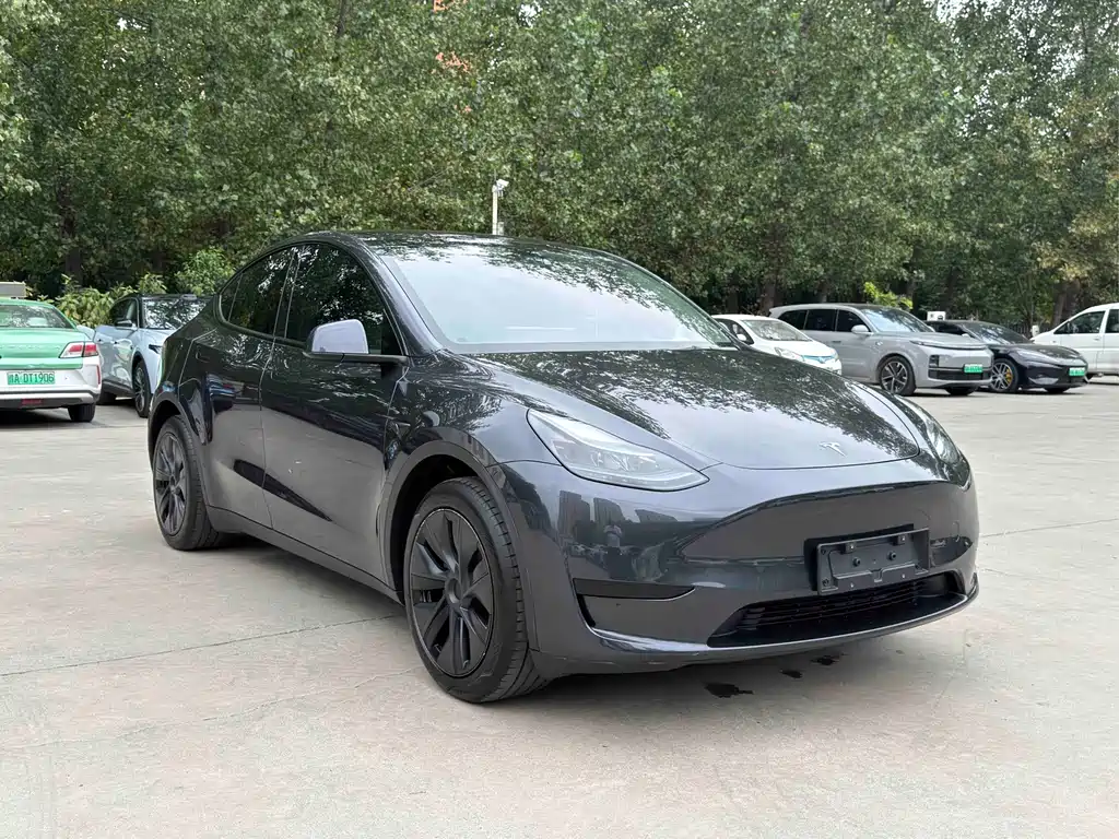 Tesla Model Y — фото 3