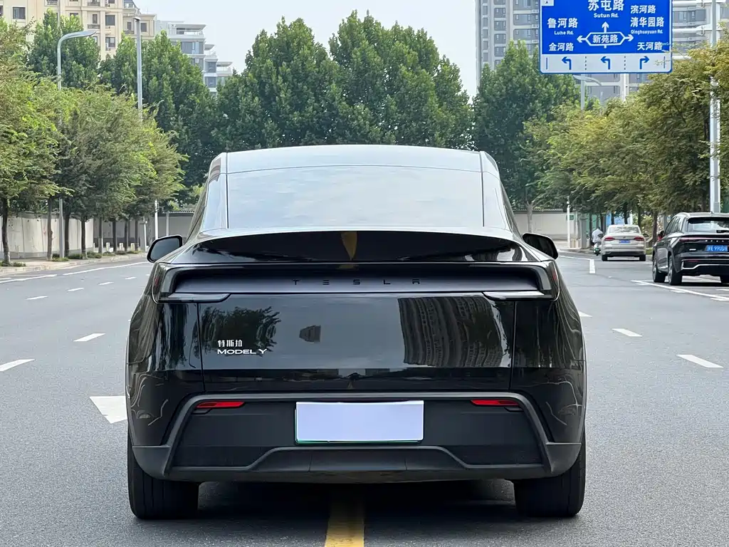 Tesla Model Y — фото 4