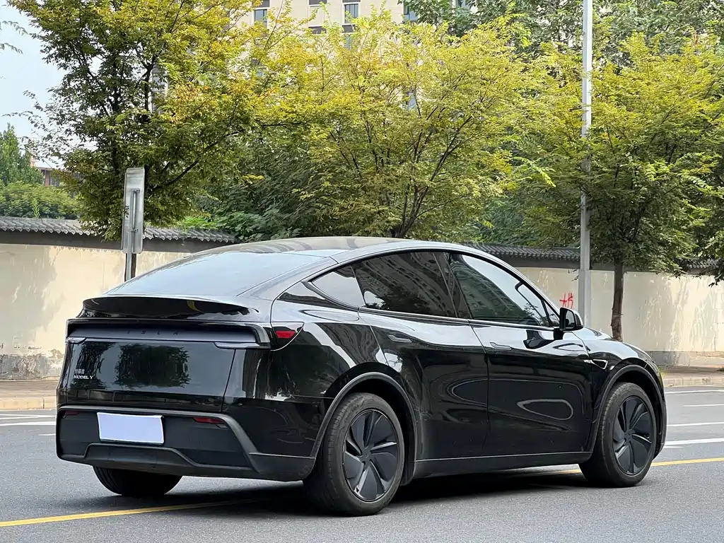 Tesla Model Y — фото 5
