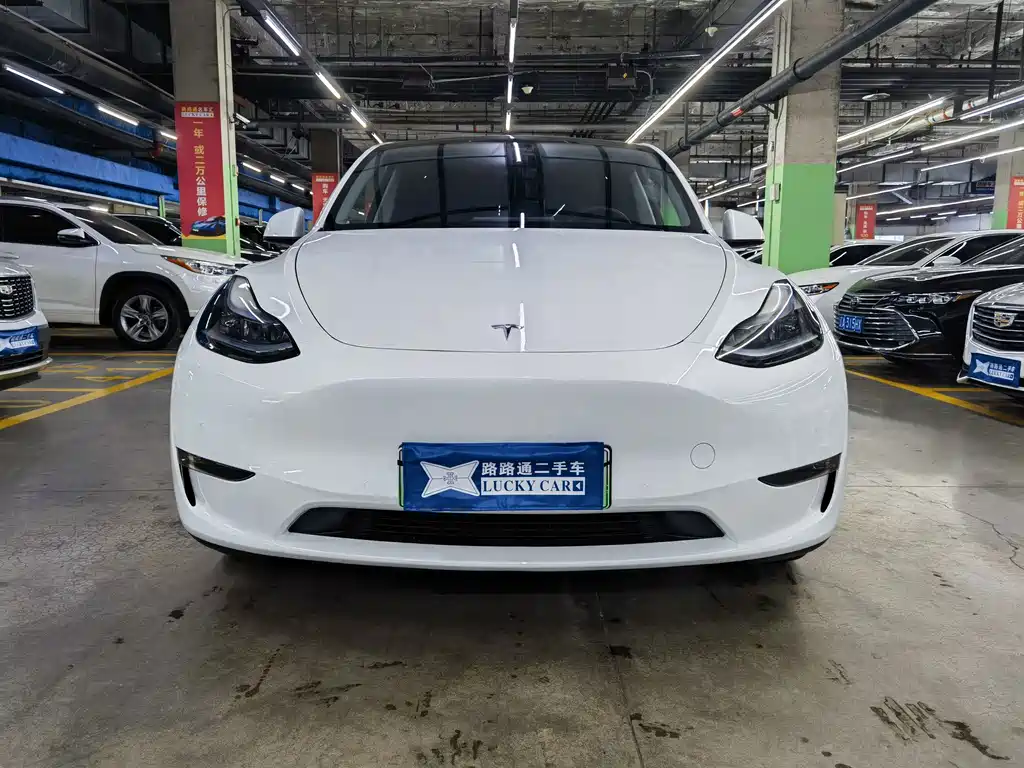 Tesla Model Y — фото 2