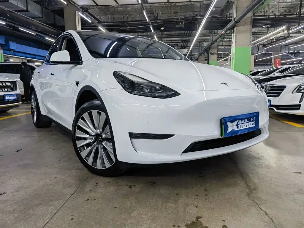 Tesla Model Y — фото 3