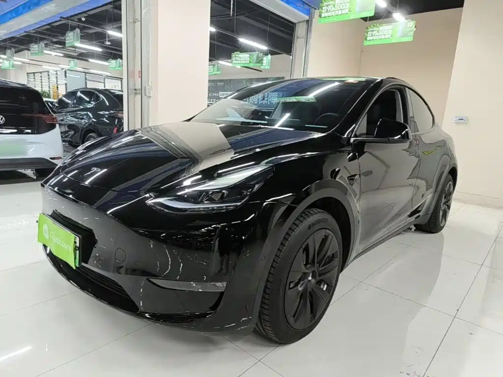 Tesla Model Y — фото 2