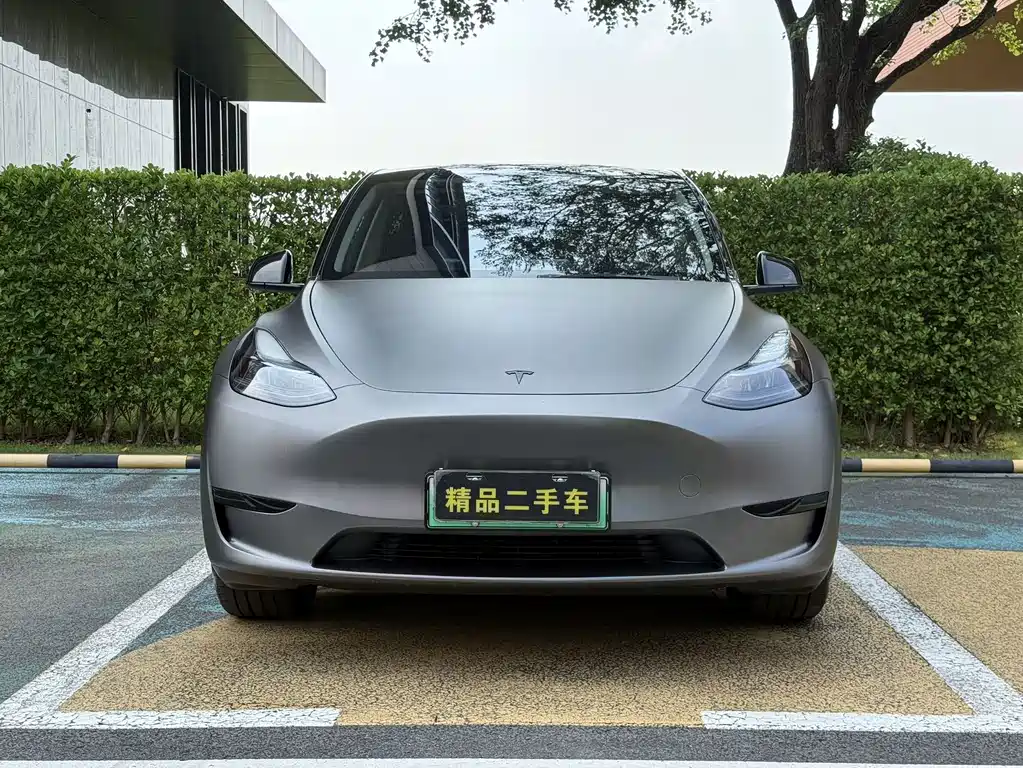 Tesla Model Y — фото 2