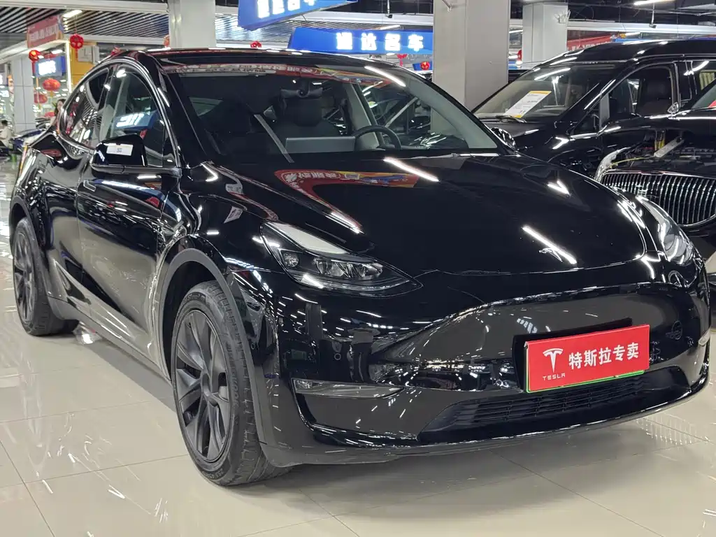 Tesla Model Y — фото 3