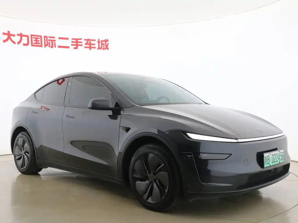 Tesla Model Y — фото 3