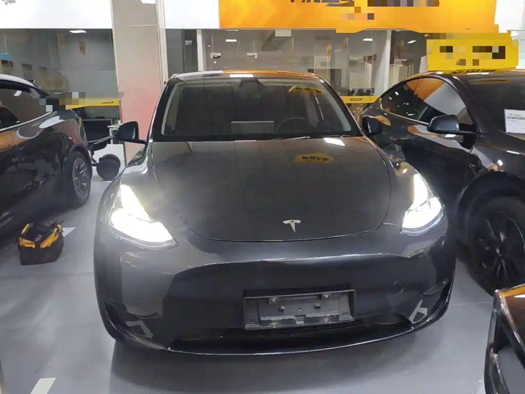 Tesla Model Y — фото 3
