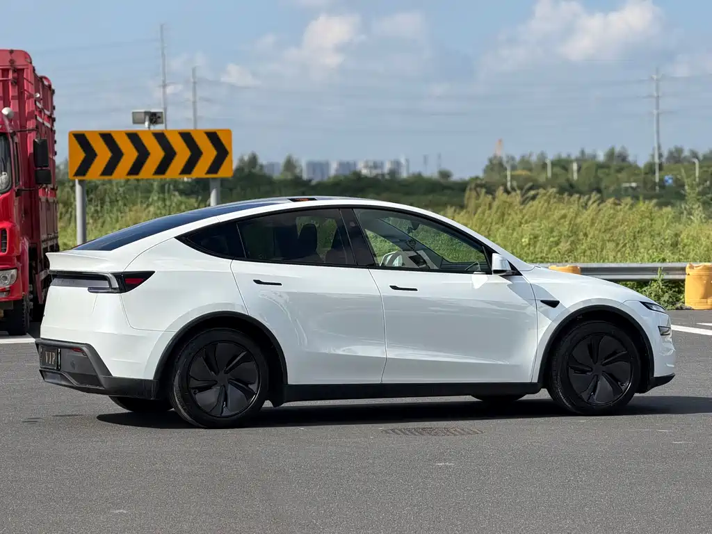 Tesla Model Y — фото 17