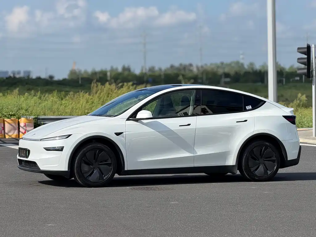 Tesla Model Y — фото 10