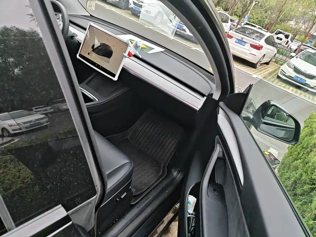 Tesla Model Y — фото 19