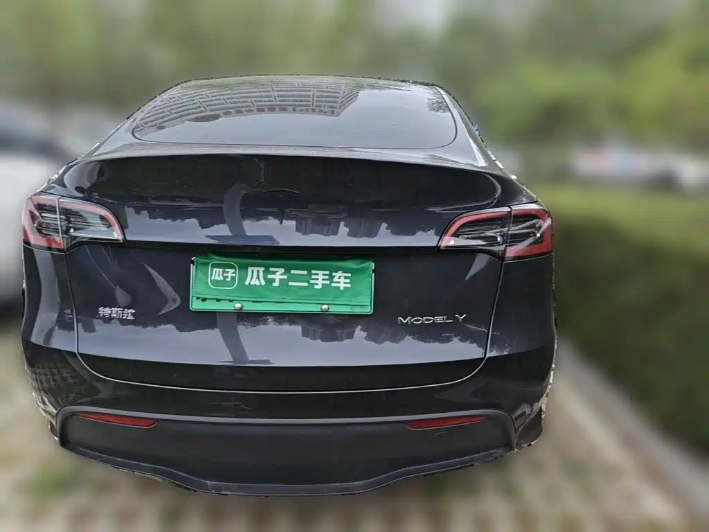 Tesla Model Y — фото 3