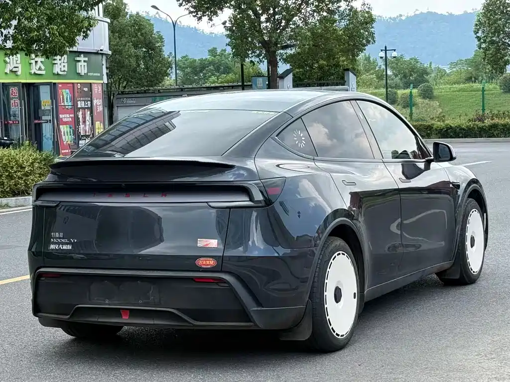 Tesla Model Y — фото 3